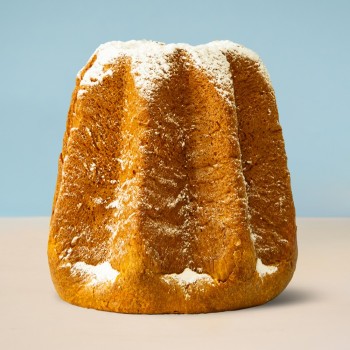Pandoro 2